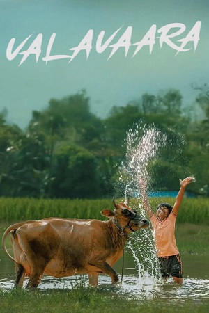 Download Valavaara (2026) Dual Audio [Hindi + Kannada] WeB-DL 480p [480MB] | 720p [800MB] | 1080p [1.8GB]